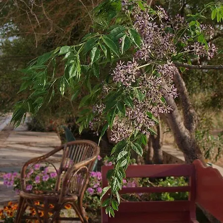 Flower And Crafts - The Eco Nature House * Монолитос