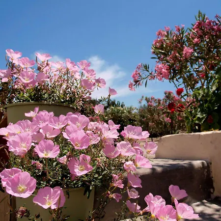 Flower And Crafts - The Eco Nature House Дом отдыха *